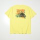 YELLOW__SYELLOW__
