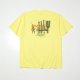 YELLOW__SYELLOW__