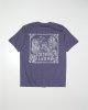 PURPLE HAZE__SPURPLE__