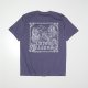 PURPLE HAZE__SPURPLE__