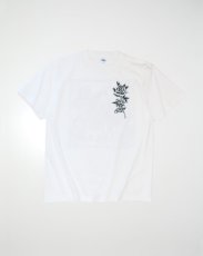 画像6: RADIALL   AMIGO PARLOR - CREW NECK T-SHIRT S/S (6)