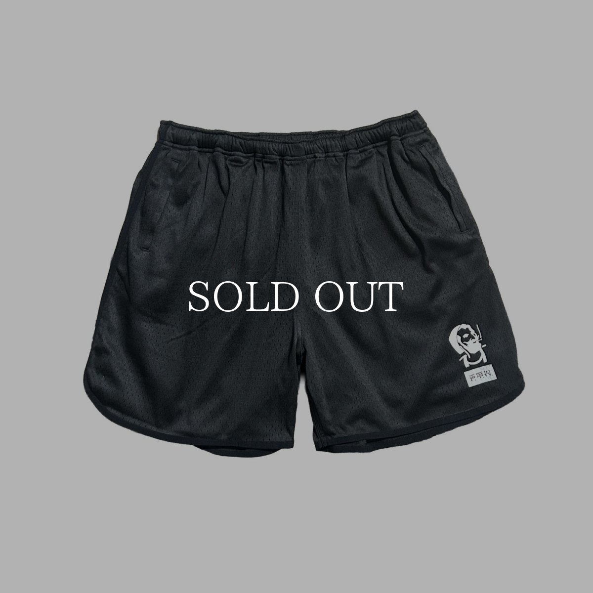 画像1: exodus brand  MESH TRAINING SHORTS (1)