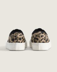 画像4: VANS  Authentic (4)
