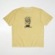 FADED YELLOW__SYELLOW__