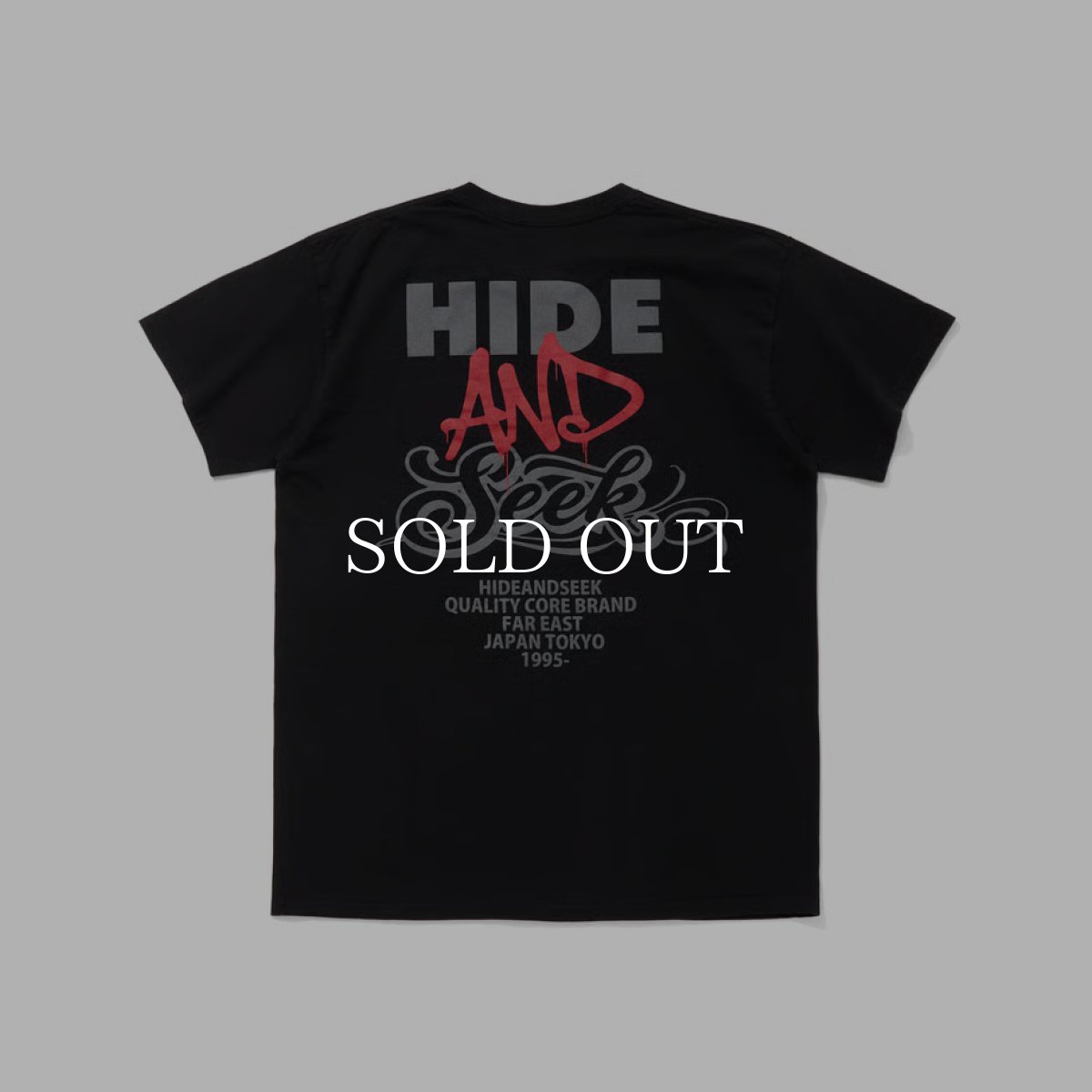 画像5: HideandSeek  AND S/S Tee (5)