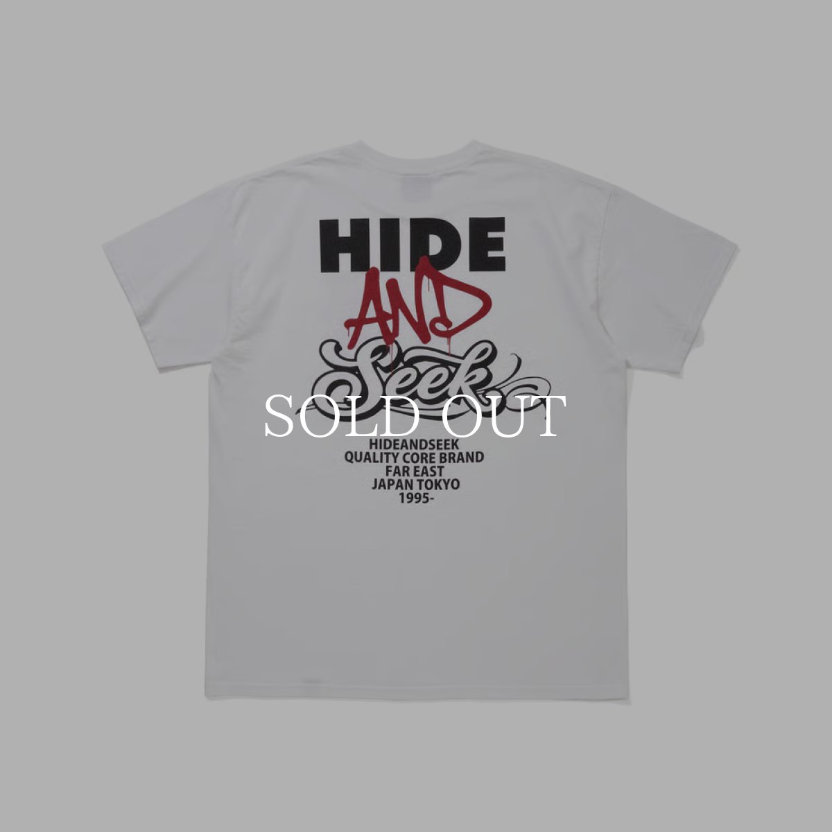 画像1: HideandSeek  AND S/S Tee (1)
