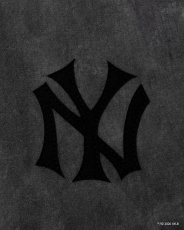 画像3: APPLEBUM  “NY Yankees” Damage T-shirt (3)