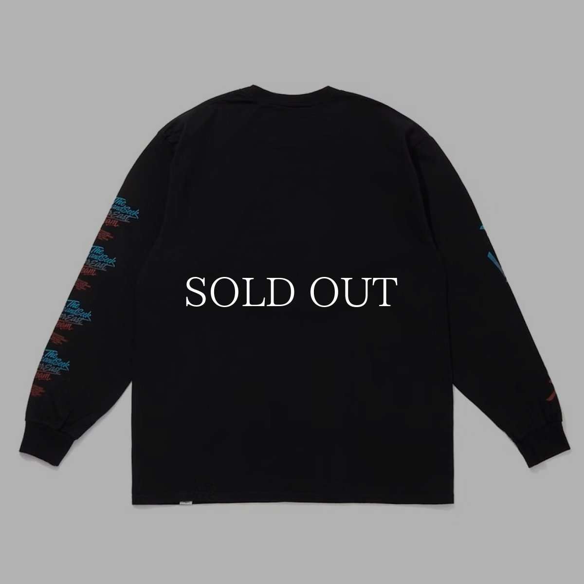画像2: HideandSeek  Gradation L/S Tee (2)