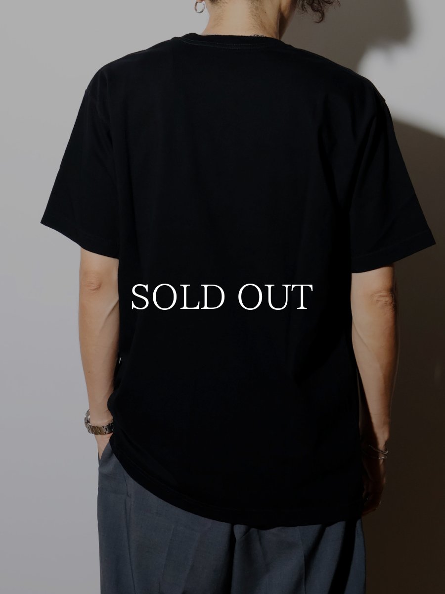 画像3: CHALLENGER  COLLEGE TEE (3)