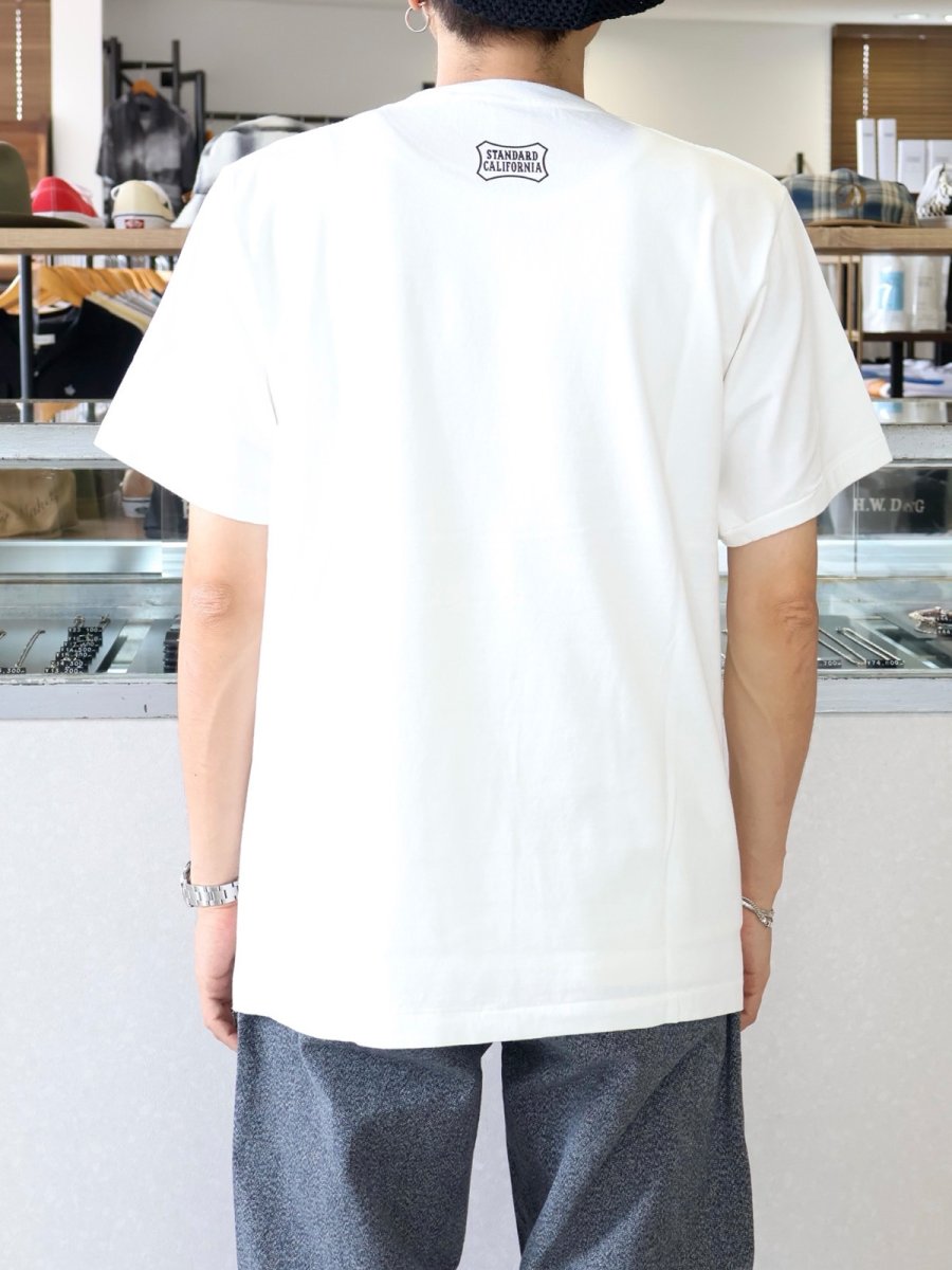 画像4: STANDARD CALIFORNIA  Star Wars / SD Chewie T (4)