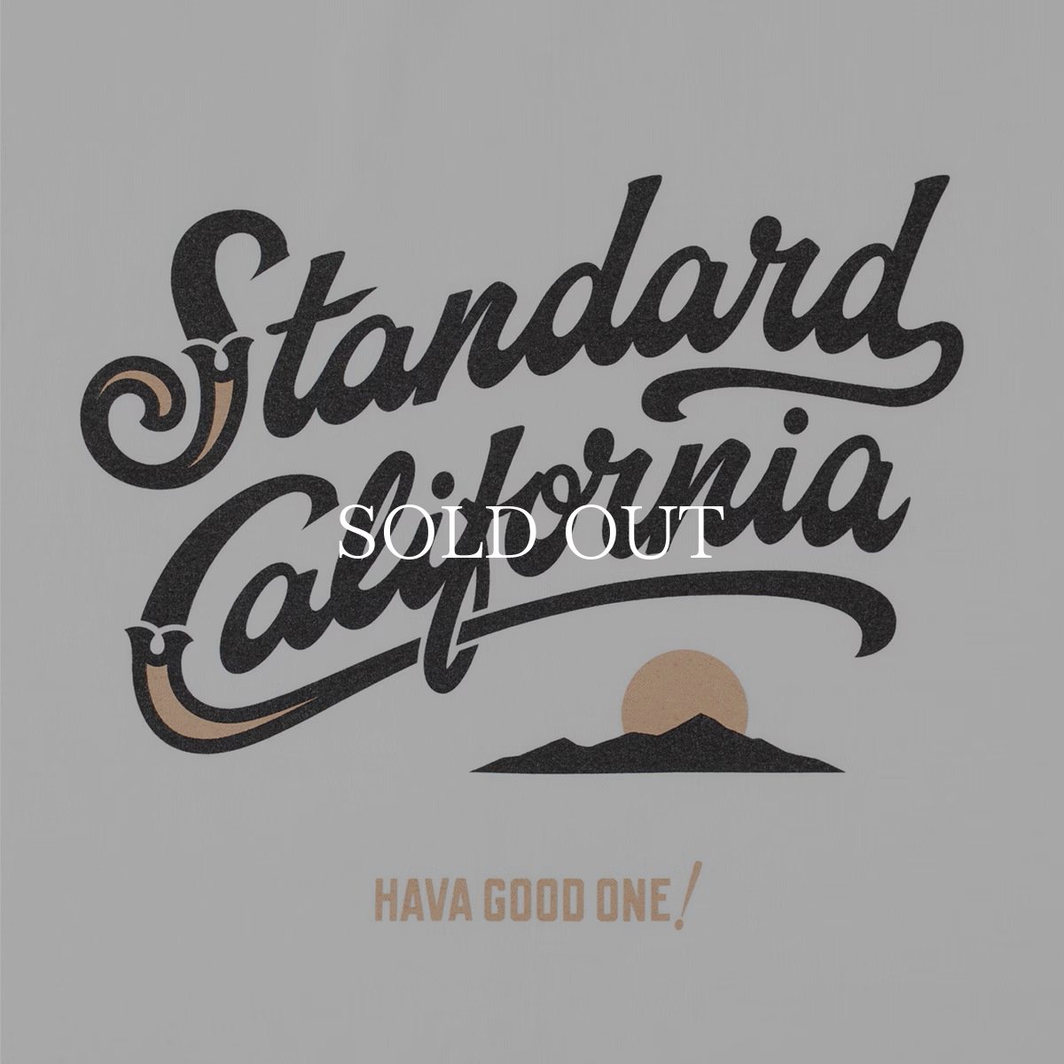 画像6: STANDARD CALIFORNIA  SD Heavyweight Modern Twist Signs Logo2 Long Sleeve T (6)