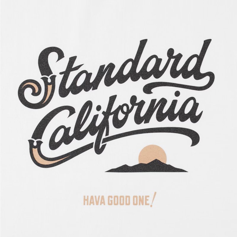 STANDARD CALIFORNIA SD Heavyweight Modern Twist Signs Logo2 Long