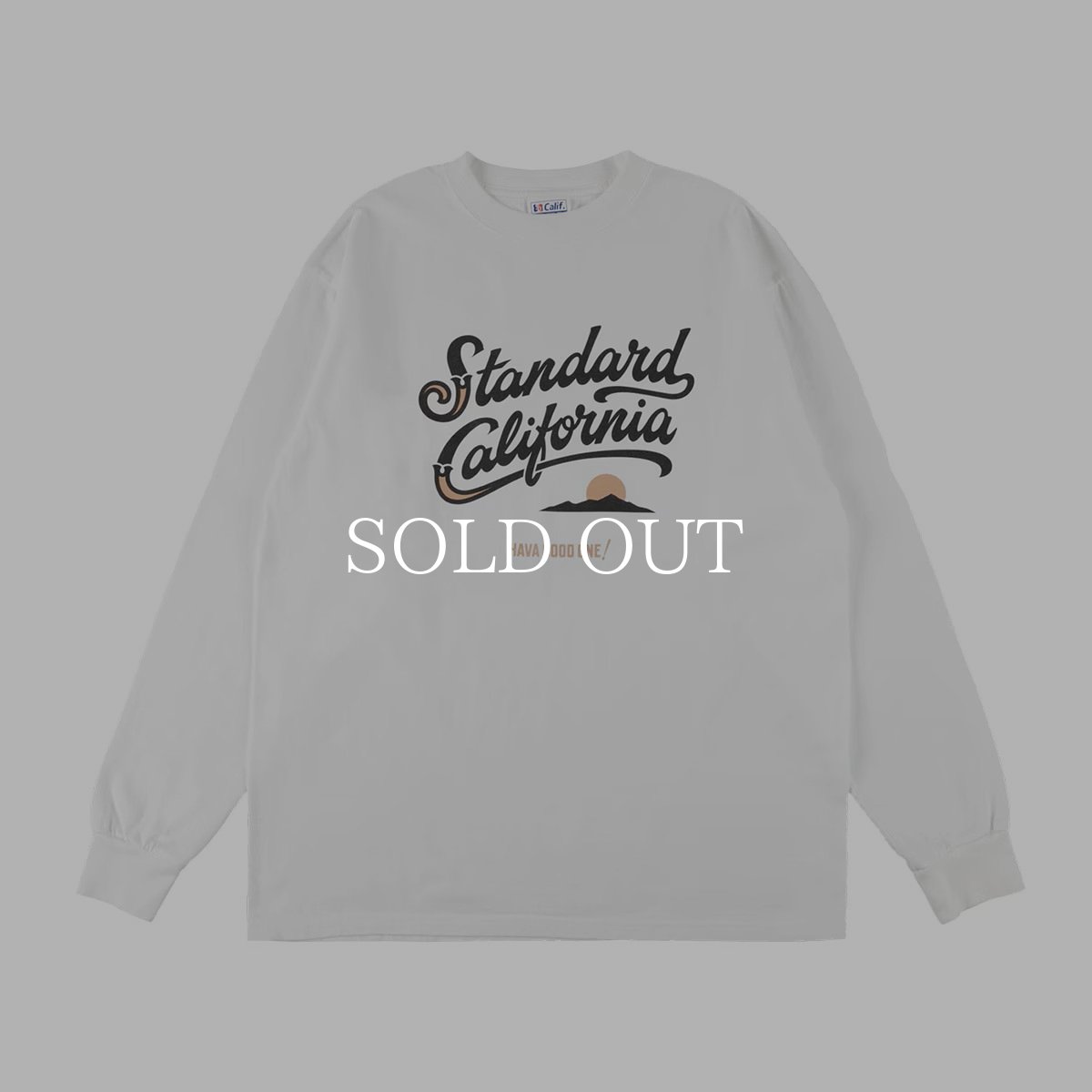 画像2: STANDARD CALIFORNIA  SD Heavyweight Modern Twist Signs Logo2 Long Sleeve T (2)