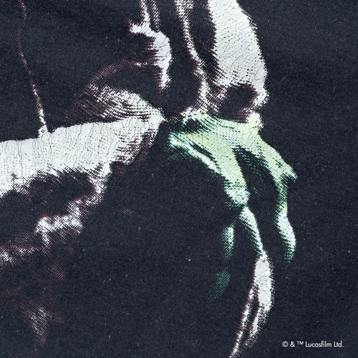 画像7: VARIEGATOR  Yoda /Sweat (7)