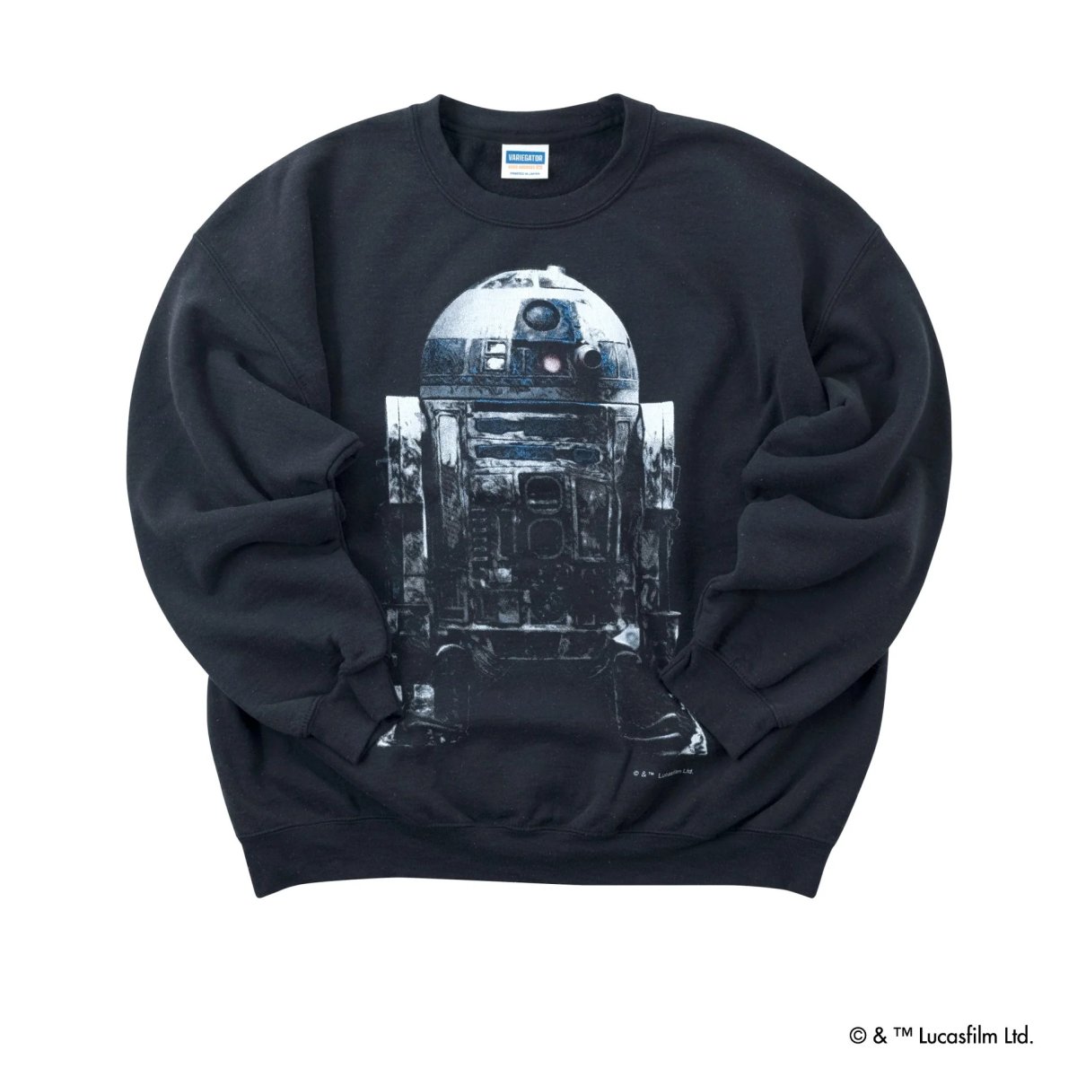画像2: VARIEGATOR  R2-D2 /Sweat (2)