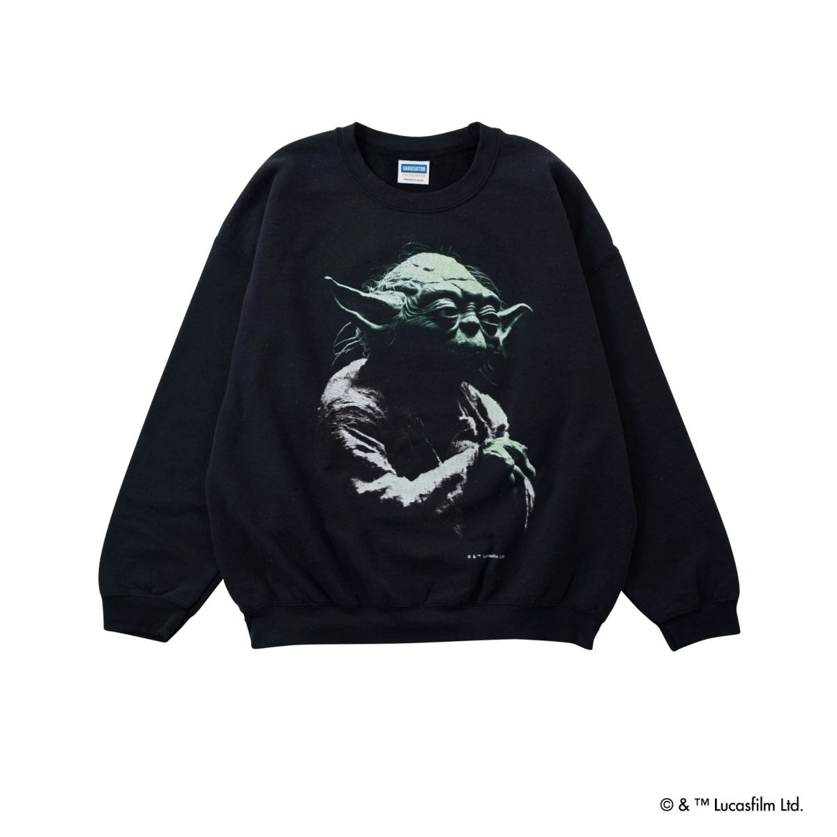 画像1: VARIEGATOR  Yoda /Sweat (1)