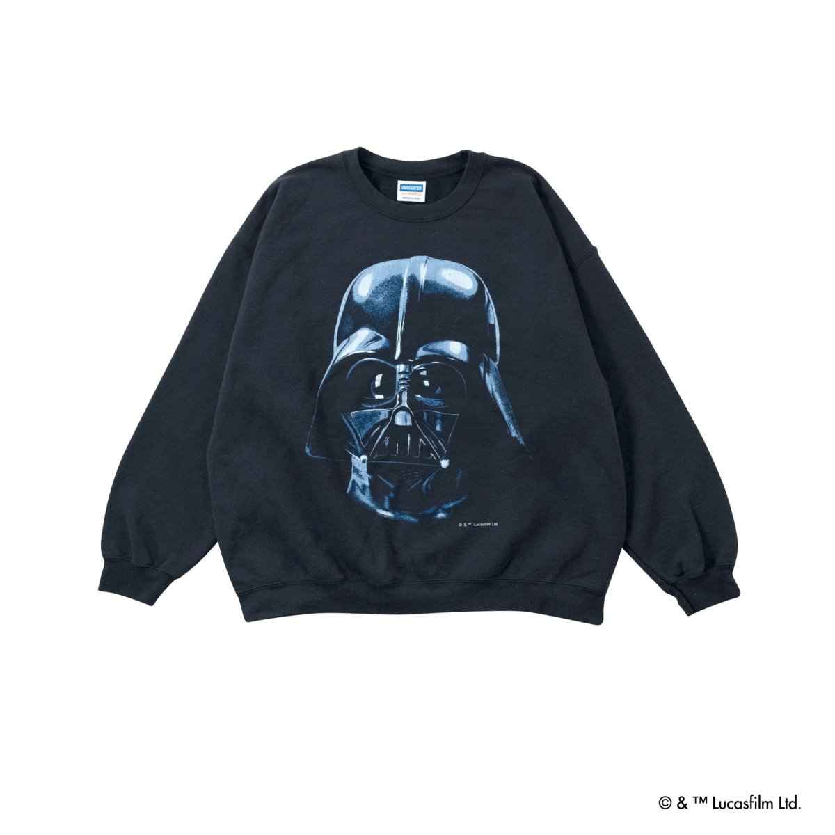 画像1: VARIEGATOR  Darth Vader /Sweat (1)