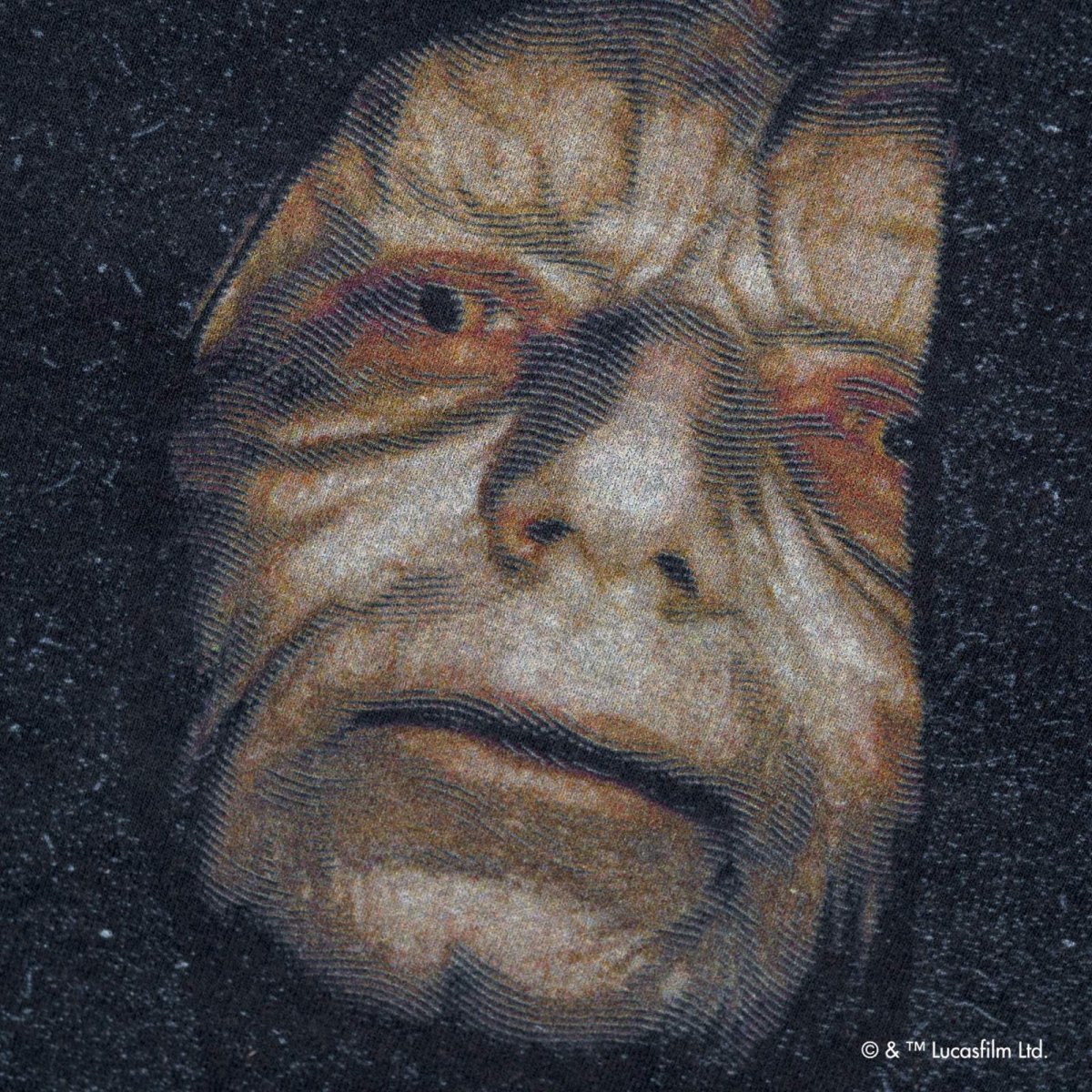 画像6: VARIEGATOR  Darth Sidious /Sweat (6)