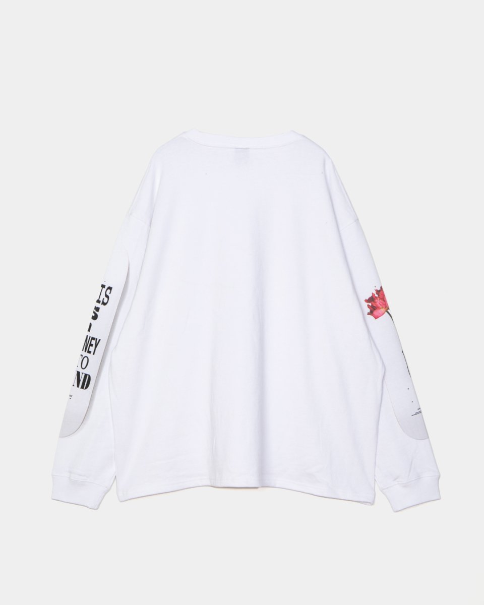 画像2: APPLEBUM   “Skate Deck” L/S T-shirt (2)