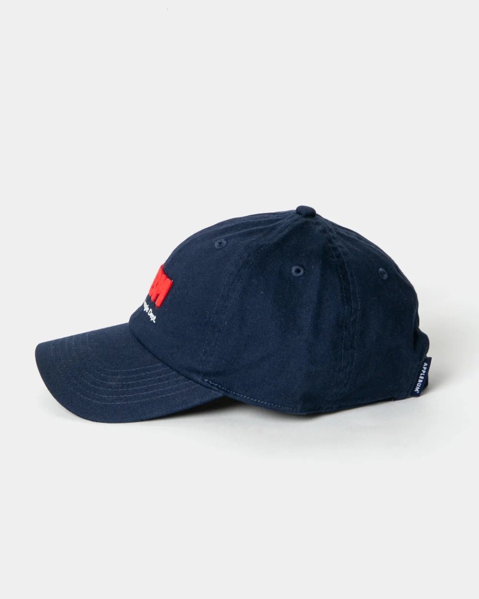 画像9: APPLEBUM   "APBM" Cap (9)
