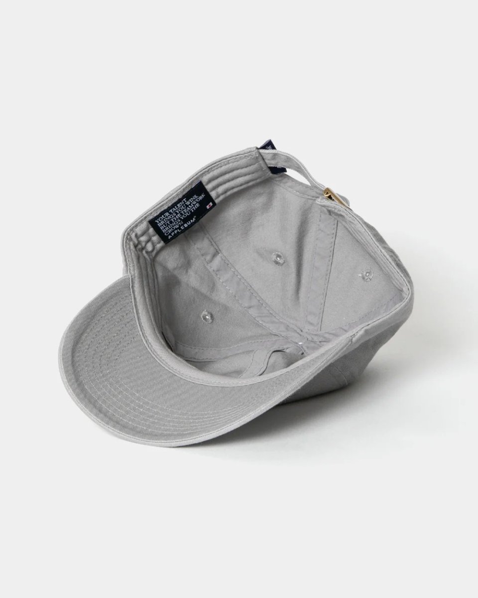 画像23: APPLEBUM   "APBM" Cap (23)