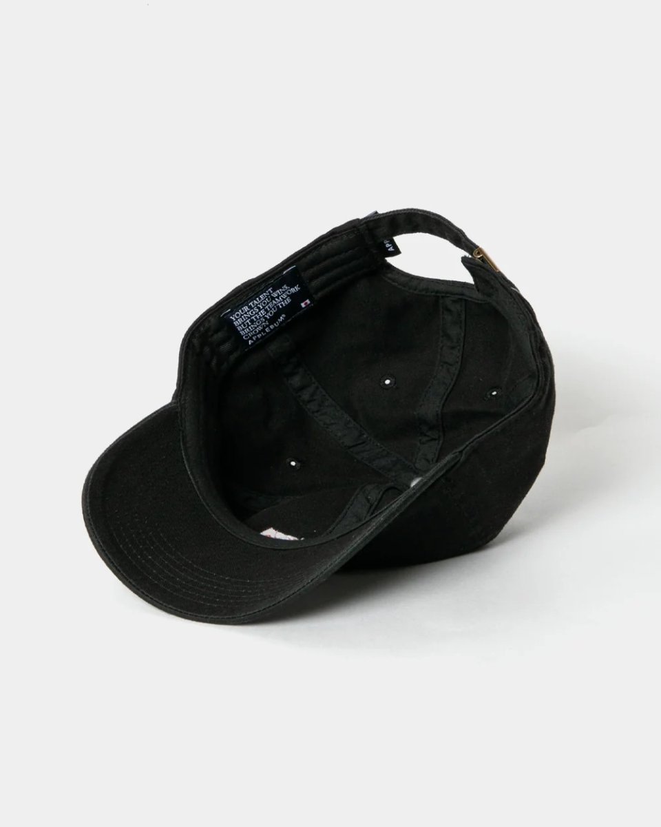 画像5: APPLEBUM   "APBM" Cap (5)