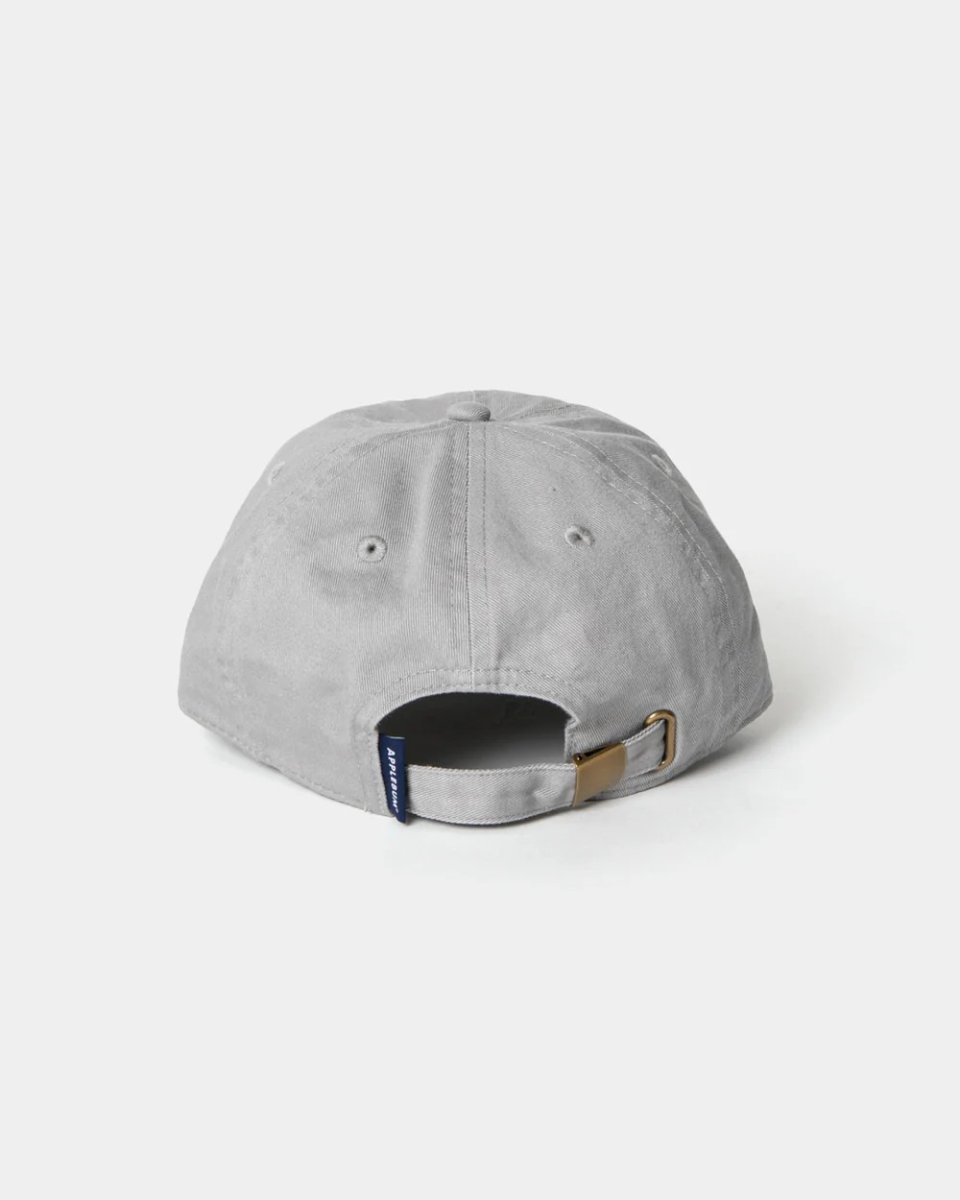 画像22: APPLEBUM   "APBM" Cap (22)
