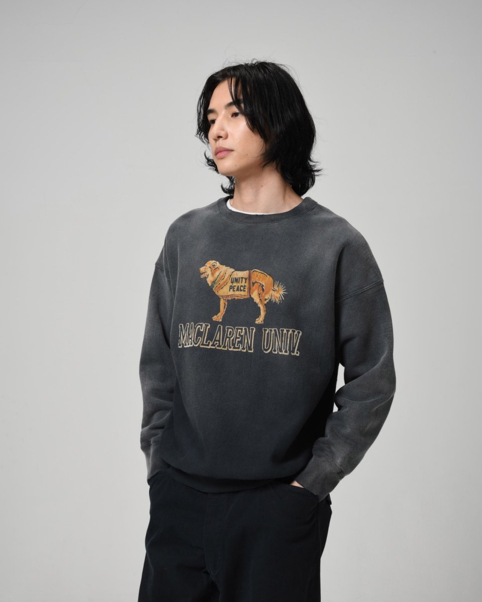 画像10: BOW WOW  FADED SWEATSHIRT - DOG (10)