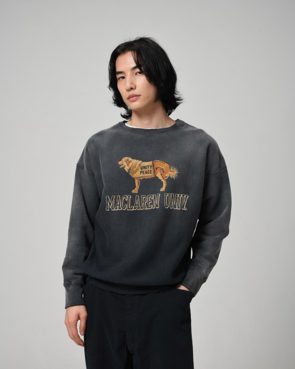 画像11: BOW WOW  FADED SWEATSHIRT - DOG (11)