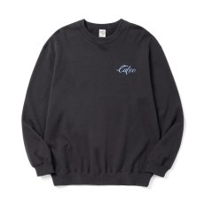 画像1: CALEE  EAGLE PINSTRIPING CREW NECK SW ＜NATURALLY PAINT DESIGN＞ (1)