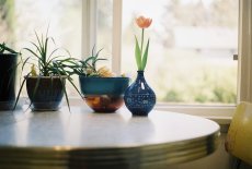 画像7: CHALLENGER  FLOWER VASE (7)