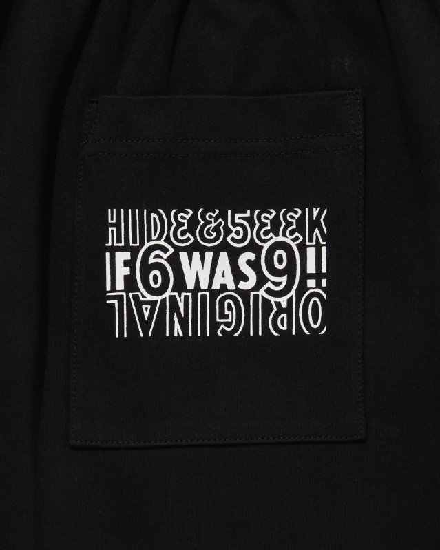 HideandSeek 