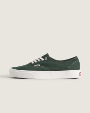 画像1: VANS  Authentic (1)