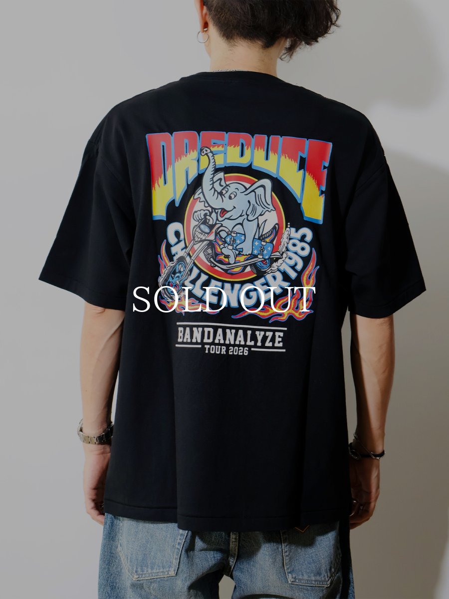 画像5: CHALLENGER  S/S PREDUCE TEE (5)