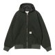 Raven stone canvas__SRaven__