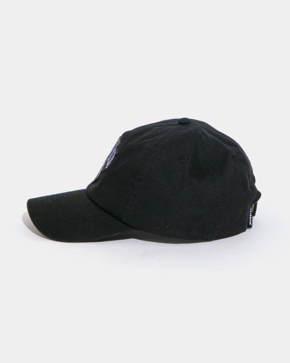 画像3: APPLEBUM   “TOKYO UNDGRND” 5 Panel Cap (3)