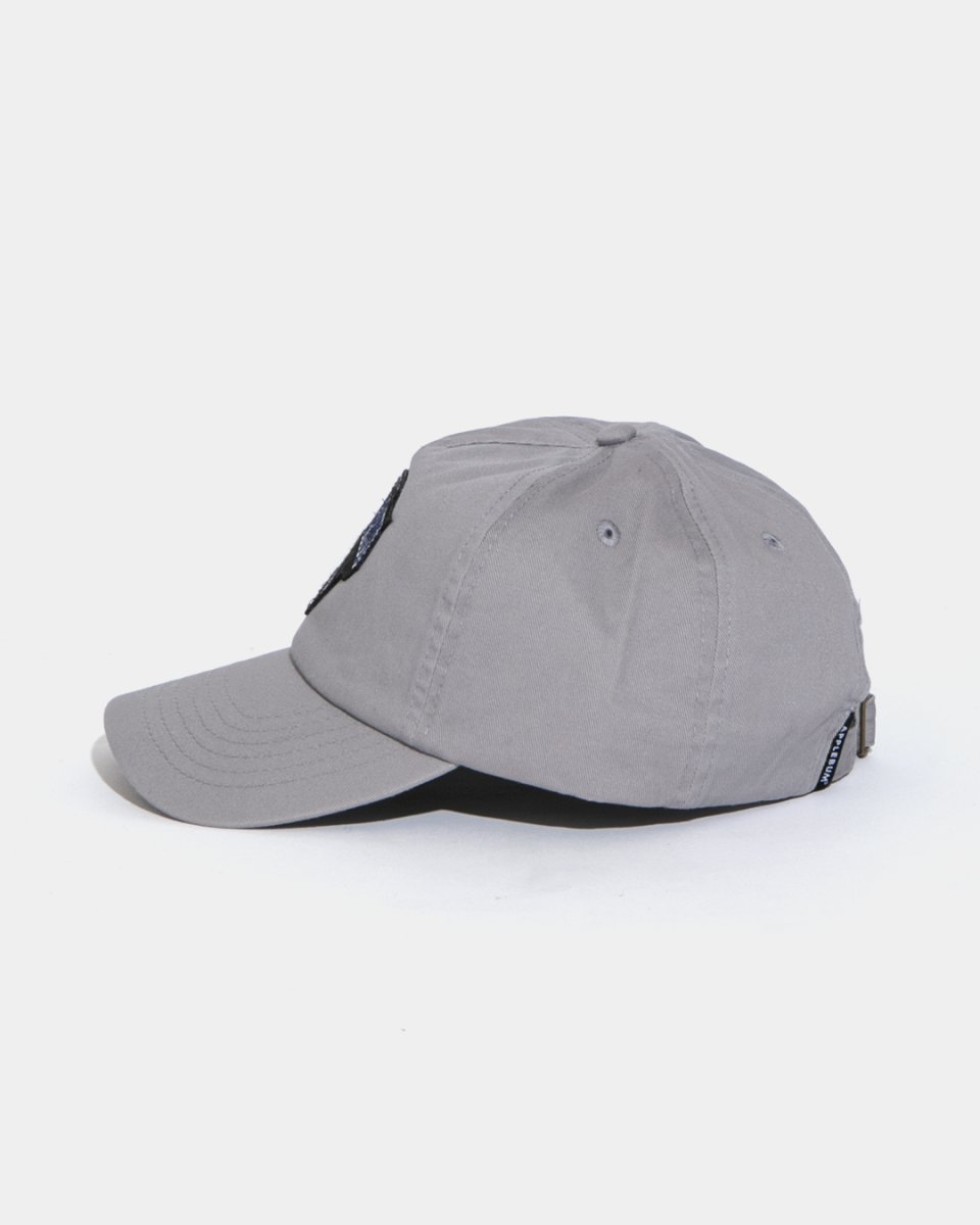 画像9: APPLEBUM   “TOKYO UNDGRND” 5 Panel Cap (9)