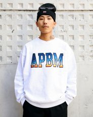 画像3: APPLEBUM   “Sunshine” Crew Sweat (3)