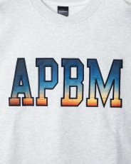 画像5: APPLEBUM   “Sunshine” Crew Sweat (5)