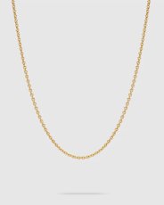 画像1: TOMWOOD   Ada Chain Super Slim Gold (1)