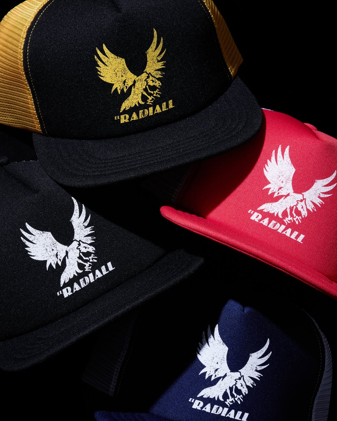 RADIALL 新作入荷 2026/6/6