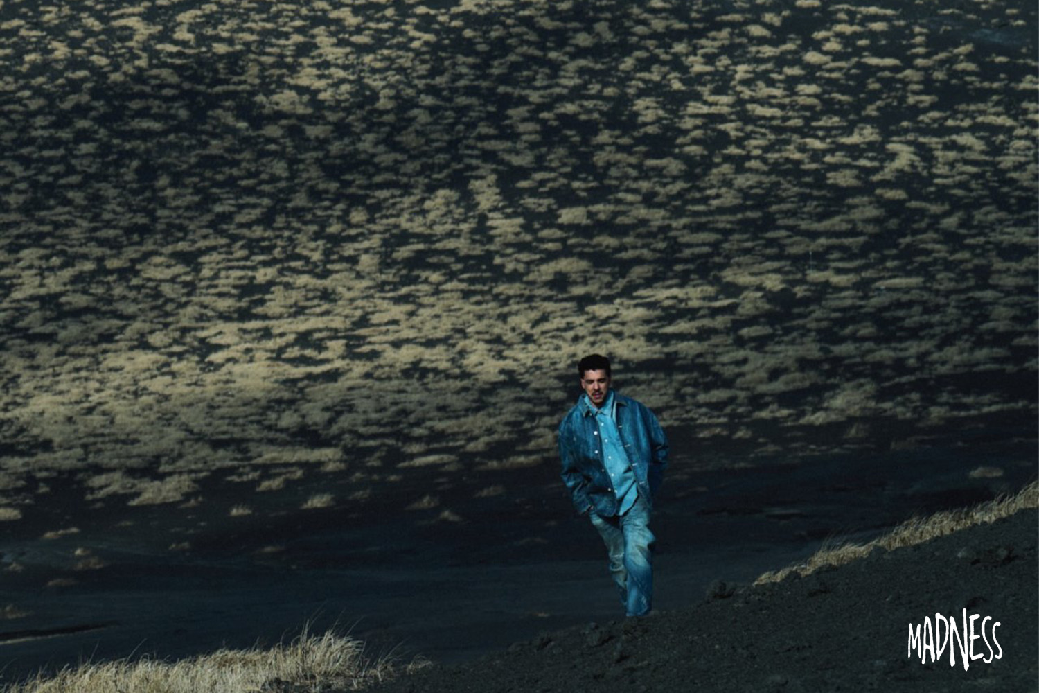 MADNESS(マッドネス)