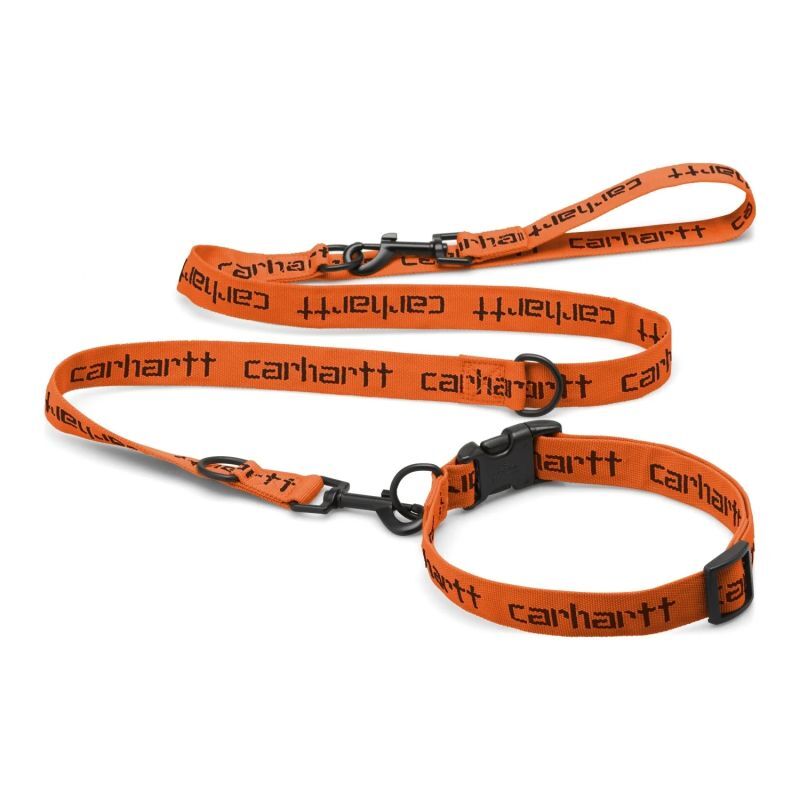 画像1: CARHARTT WIP  SCRIPT DOG LEASH & COLLAR (Carhartt Orange / Black) (1)