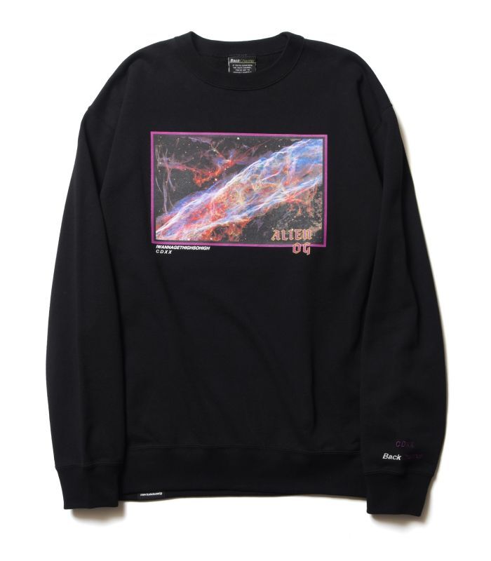 Back Channel SPACE ROYALS 420 CREW SWEAT (PURPLE) 2322265 公式通販