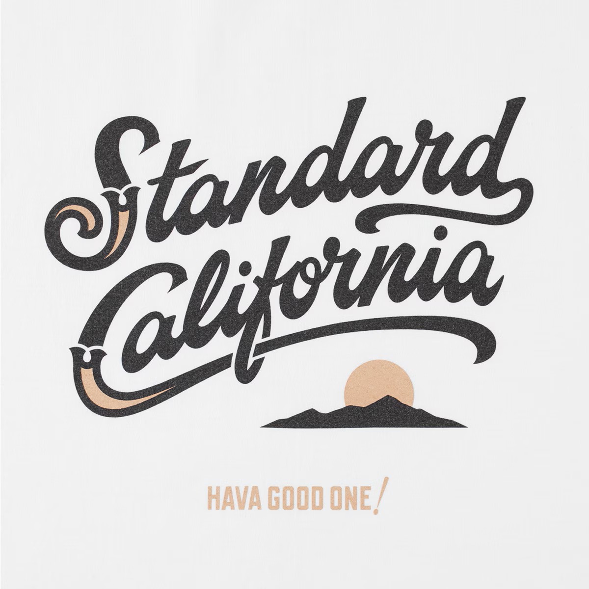 STANDARD CALIFORNIA SD Heavyweight Modern Twist Signs Logo2 Long